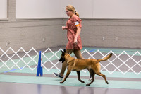 Belgian Malinois Sat Rings