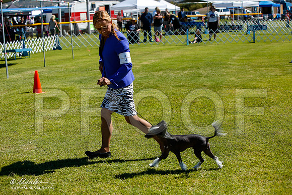 _JJ_5361-AlamogordoOct2014-HR3