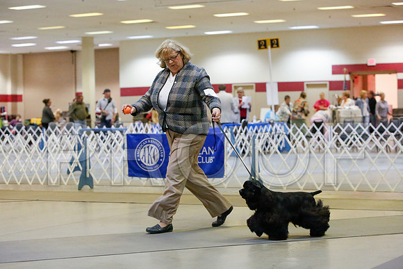 _JJ_2650-AmarilloSept2014-HR3