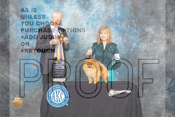Pomeranian #59 Fri BISS Judge Jon Cole_MJ_9640_HstnTOY_2022_HR3