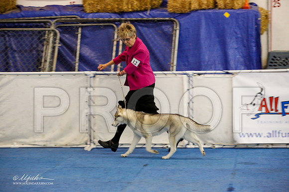 _M3_8938-AddisonHuskyMar2015-HR3