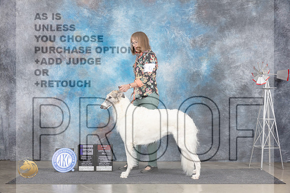 Borzoi #6 Sat WBBOS Judge Pat Trotter__JP_5849e_Amarillo_2024_HR3