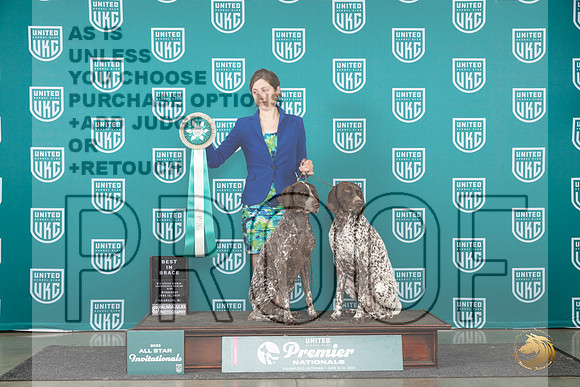 German Shorthaired Pointer #771 Wed Brace Judge Jeanne Heger__JP_2357_Premier_2024_HR3