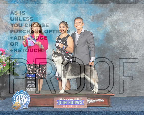 Siberian Husky #5 Sat BOV Judge Joan Liebes-MJP_5878e-Hstn2023_HR3