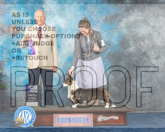 Cardigan Welsh Corgi #24 Sat WB MAJ Judge Eric Liebes-MJP_5563e-Hstn2023_HR3