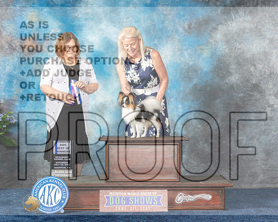 Papillon #5 Sat BOW Judge Elizabeth Muthard-MJP_5354e-Hstn2023_HR3