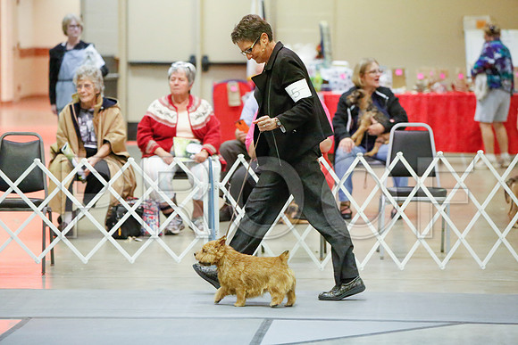 _JJ_5489-AmarilloSept2014-HR3