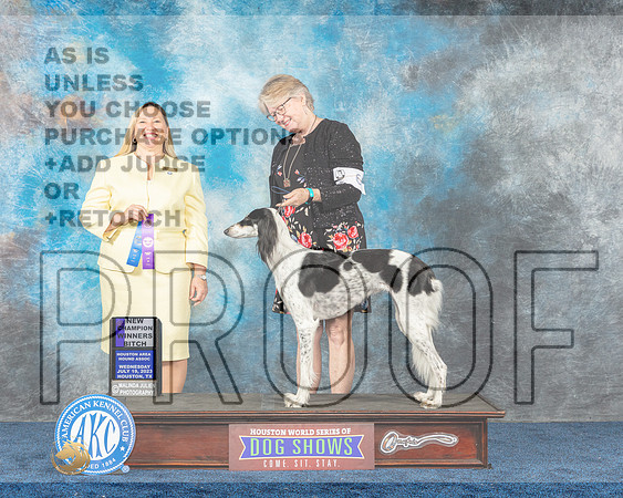 Saluki #? Wed WB NC Judge Capozzi-MJP_1130e-Hstn2023_HR3