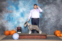 Standard Schnauzer #9 Sunnn G2 Judge Jan Paulk