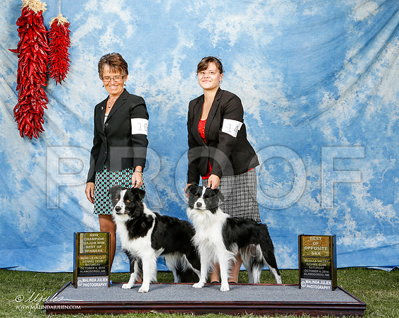 _ST_2861-2-AlamogordoOct2014-HR3