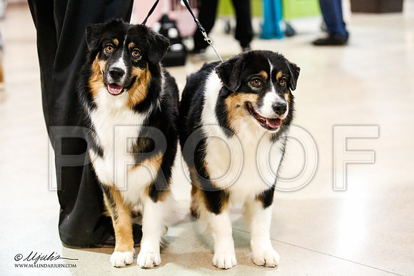 _JJ_1629-ASCACollegeStationNov2014-HR3