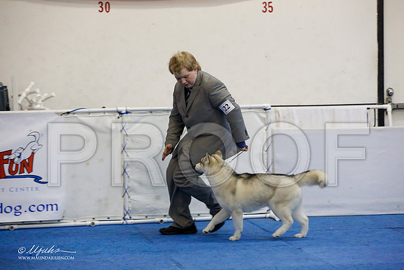 _M3_8802-AddisonHuskyMar2015-HR3