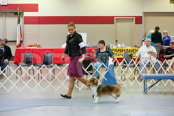 _JJ_3988-AmarilloSept2014-HR3