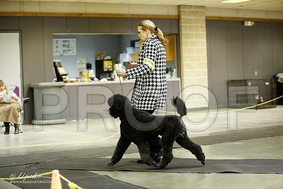 _JJ_5660-BeltonJan2015IABCA-HR3