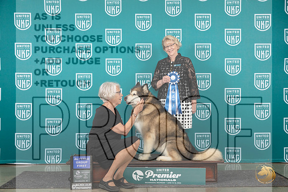 Alaskan Malamute #1301 Sat AG1 Judge Deb Allen__JP_2421_Premier_2024_HR3