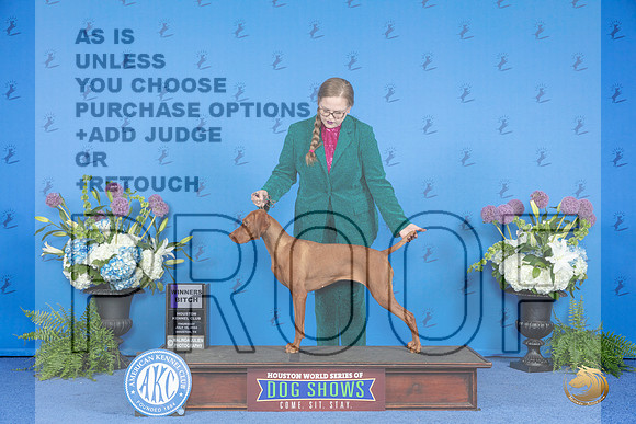 Viszla #38 THUR WB Judge Wood Wornall__JP_8089_Houston_2024_HR3