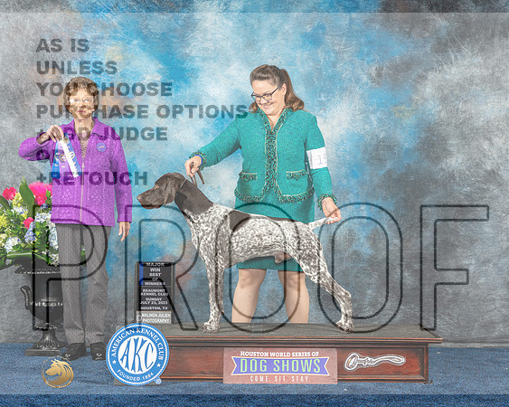 German Shorthaired Pointer #15 Sun WD BOW MAJ Judge Patricia Trotter-MJP_6906e-Hstn2023_HR3