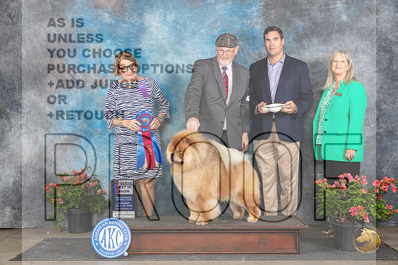 Chow Chow #5 Sat RBIS Judge Elizabeth ‘Beth’ Sweigart__JP_5588_San Antonio_2024_HR3