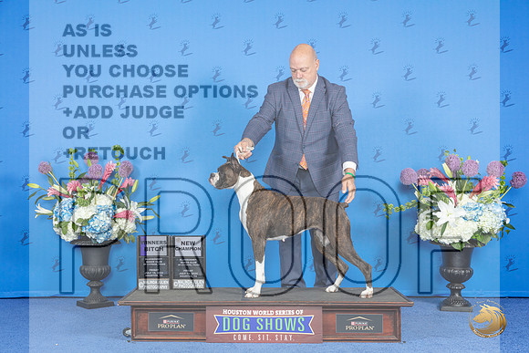 Boxer #20 FRI WB NC M Judge Jon Cole__JP_9002_Houston_2024_HR3
