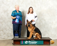 German Shepherd Dog #211 Wed POC Judge Karen Cattin