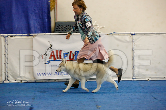 _M3_8924-AddisonHuskyMar2015-HR3