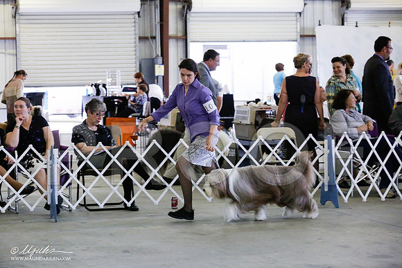 HerdGrSn-3097-Cntn2013HR