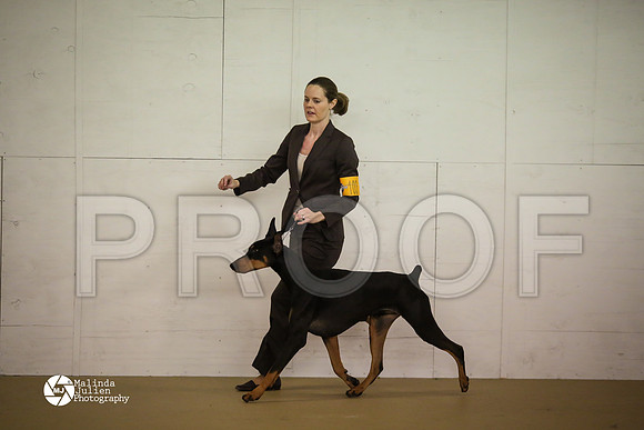 Dobe-7821-HtoJan14-HR