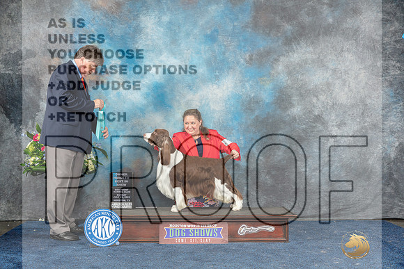 English Springer Spaniel #11 Sun OHBIS Judge Charles Olvis-MJP_8374-Hstn2023_HR3