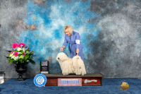 Puli #5 Fri OHBIS Judge Elizabeth Muthard r