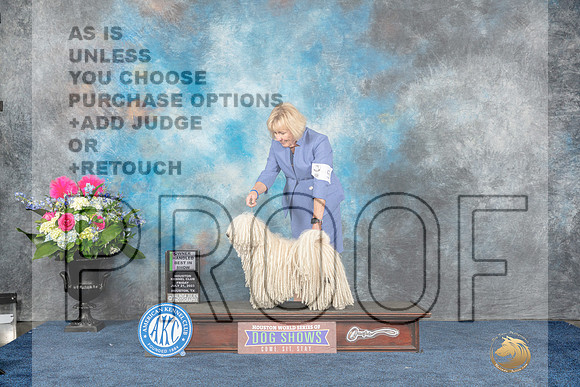Puli #5 Fri OHBIS Judge Elizabeth Muthard r-MJP_5815-Hstn2023_HR3