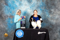 Papillon #29 Sun WDNCh Judge Carol Pyrkosz