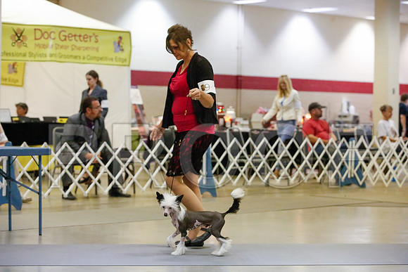 _JJ_0787-AmarilloSept2014-HR3