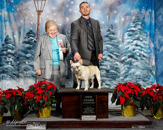 _ST_8858-2-DallasDec2014-HR3