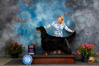 Gordon Setter #5 Fri G2 Judge Elizabeth ‘Beth’ Sweigart