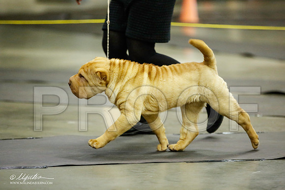 _JJ_5705-BeltonJan2015IABCA-HR3