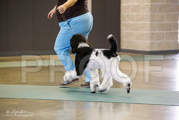_LH_2868-BeltonJan2015-HR3