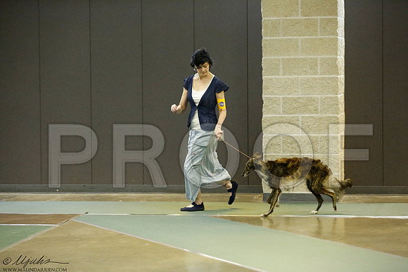 _J3L1731-BeltSep2014-HR