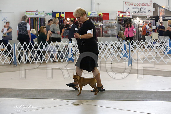 _HR_1364-DallasJul2014-HR3