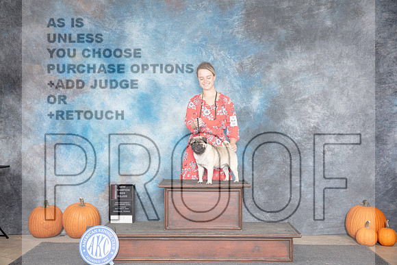 Pug #9 Sat WDBOS M NCH Judge Ray Filburn__JP_8578_Humble_2024_HR3