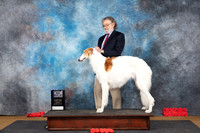 Borzoi #5 Sat WDBOWM Judge Sidney Marx