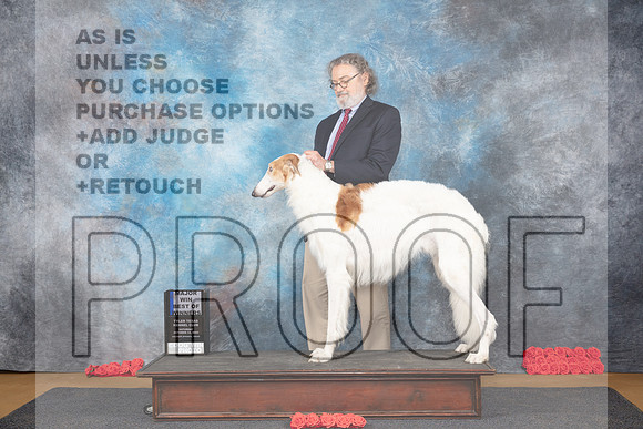 Borzoi #5 Sat WDBOWM Judge Sidney Marx__JP_0001_Sulphur Springs_2024_HR3