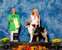 Collies Smooth #6 Sun G3 Anstett Patricia Rachel Amy Ross B Elwell Judge Mrs Carolyn A Herbel