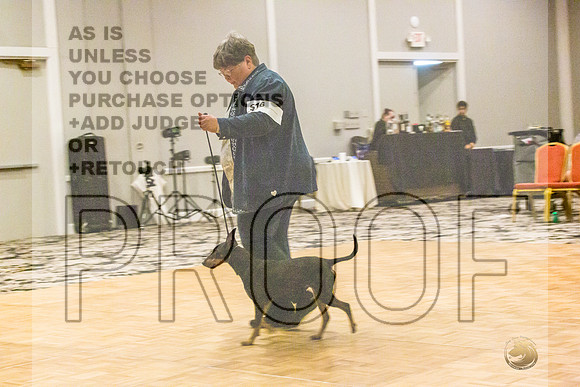 Manchester Terrier MTOY Candids-JJL_2264-Hstn2022_HR3