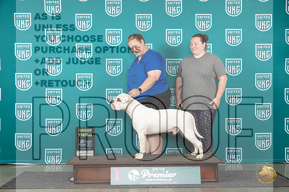American Bulldog #773 Sat G3 Judge Lori Sargent__JP_2376_Premier_2024_HR3