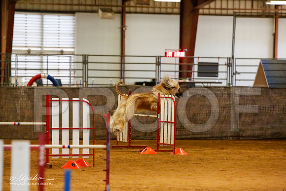 _MJ_2573-AfgBeltonOct2014-HR3