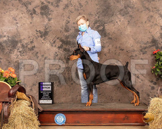 Doberman Pinscher #10 Sat WB Judge Dr Donald Gill_MMJ_0628_NWAKC21-HR3