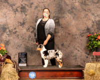 Australian Shepherd #8 Sat PG1 Judge Alan Reznik