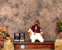 Cocker Spaniel Parti #8 Sat BOS Judge Dr Troy Clifford Dargin