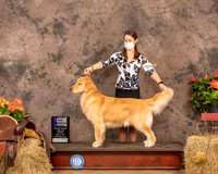 Golden Retriever #28 Sat WB Maj Judge Tim Catterson
