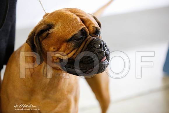 _JJ_4001-DallasJul2014-HR3
